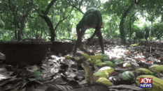 Over 458,000 children miss school due to child labour in Ghana — CHRAJ