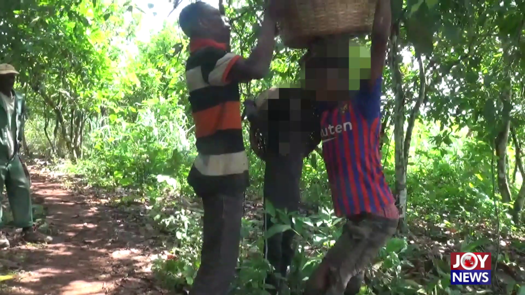 Hotline Documentary: Children in cocoa labour