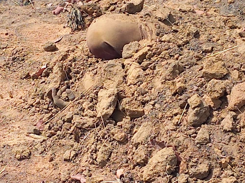 Kneeless corpse buried on football pitch in Sawla