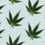 Medicinal cannabis company to create 100 jobs in Scottish expansion Medicinal cannabis company to create 100 jobs in Scottish expansion