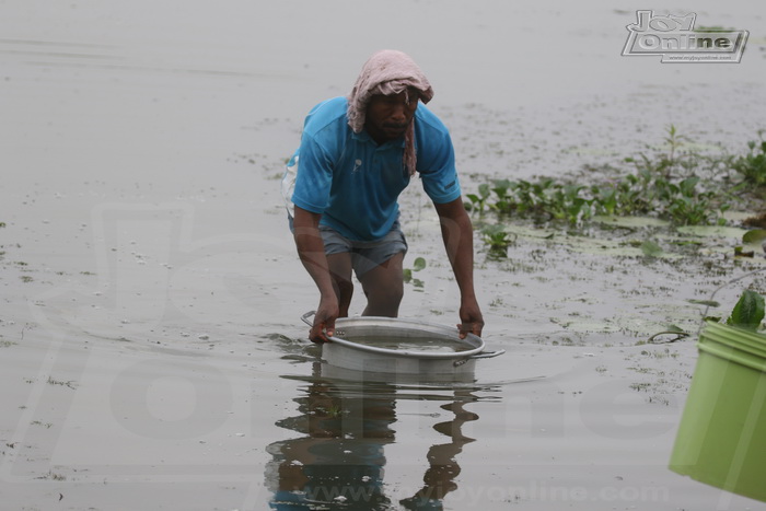 Water crisis hits Ngleshie Amanfro