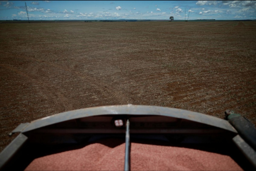 As sanctions bite Russia, fertilizer shortage imperials world food supply