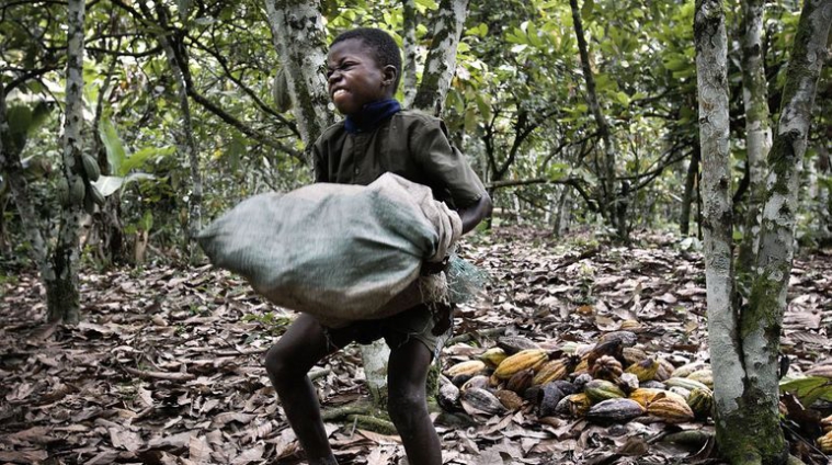 cadbury child labour case study solution