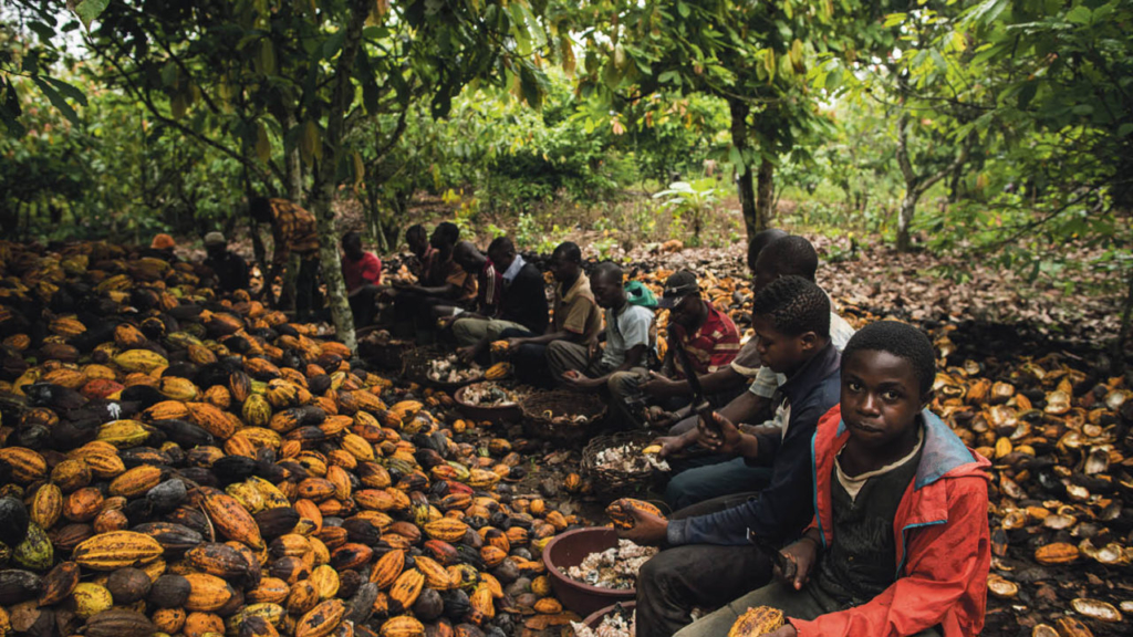 Cadbury faces fresh accusations of child labour on cocoa farms in Ghana