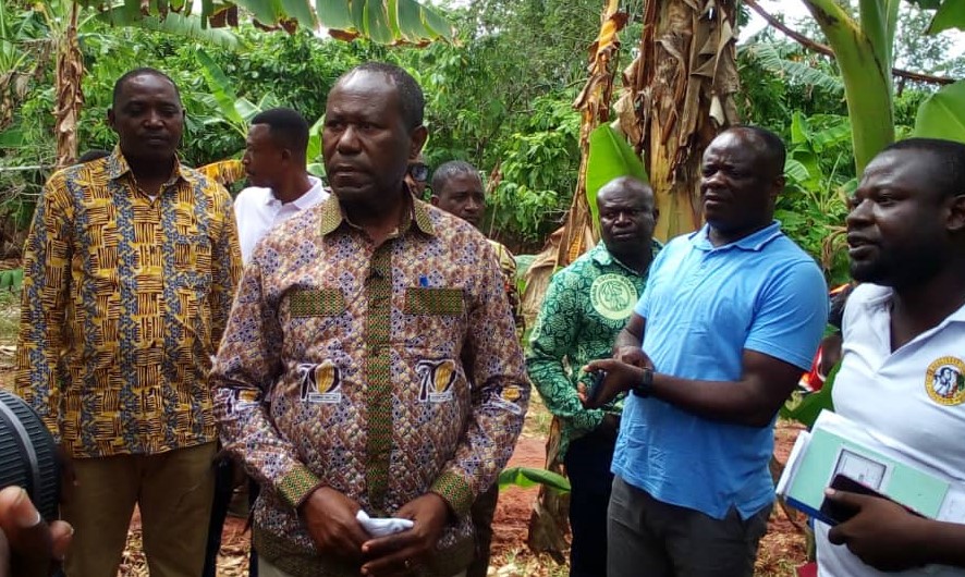 Cocobod CEO crowned Cocoa Development Chief at Kumikrom-Bankyease