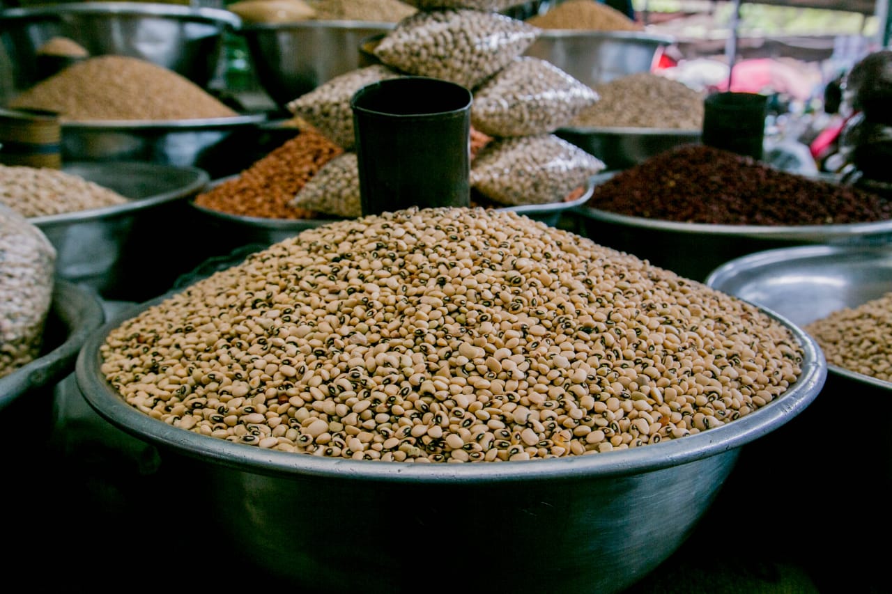 Science activists urge National Biosafety Authority to approve GMO cowpea 2 Cowpea