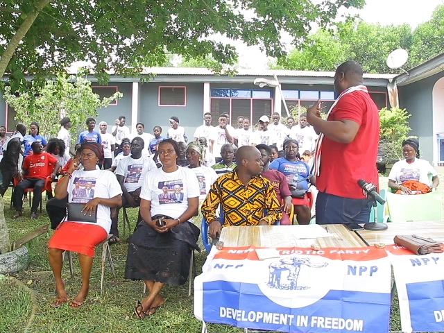 Call CEO of Exim Bank to order - NPP youth in Twifo Hemang to National Executive