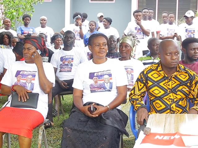 Call CEO of Exim Bank to order - NPP youth in Twifo Hemang to National Executive