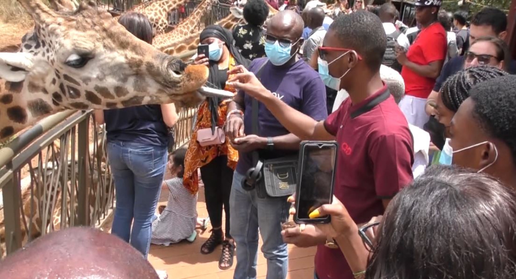 2021 NSMQ winners try crocodile meat and ox balls at Kenya’s Carnivore restaurant