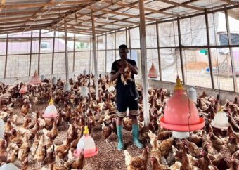 There is a disconnect between local and national poultry policy – Ali Muhammed