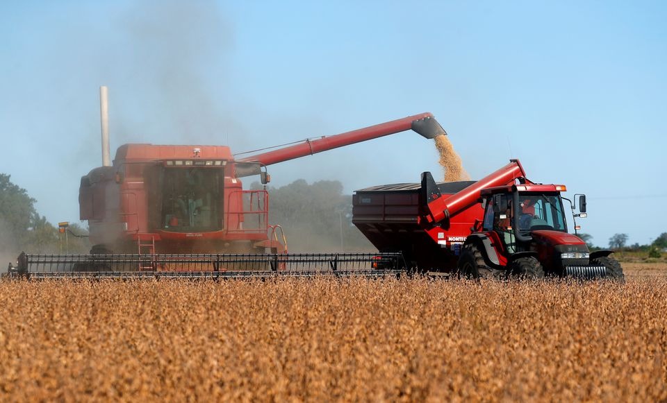 World’s top soyoil exporter says record prices a mixed blessing 2 WhatsApp Image 2022 04 24 at 12.23.52 PM