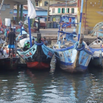 Tuna vessels to observe fishing moratorium from January 1 Tuna vessels to observe fishing moratorium from January 1