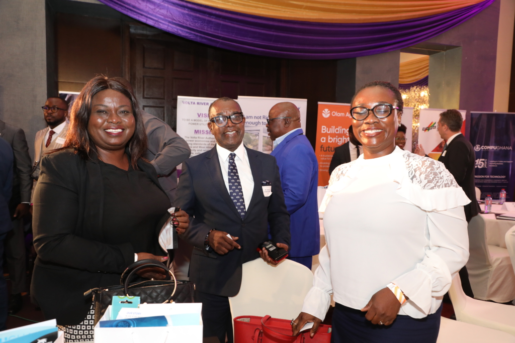 Photos: CEOs, business owners honored at Ghana CEO Summit