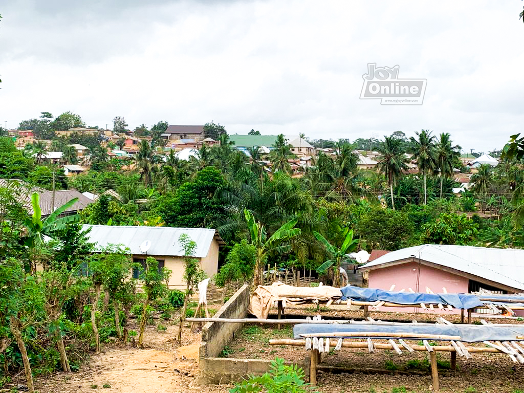 Kenneth Awotwe Darko: My village is GOAT-less so I went sheep-watching