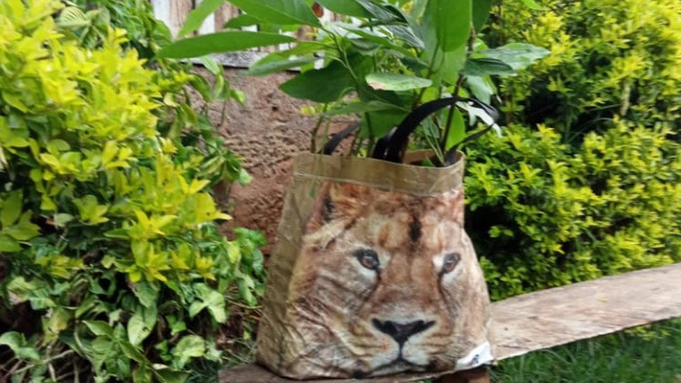 Carrier bag mistaken for stray lion triggers alarm in Kenya
