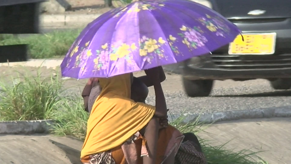 ‘Some beg to build houses; we just want to feed’ – Child beggars bewail tough survival