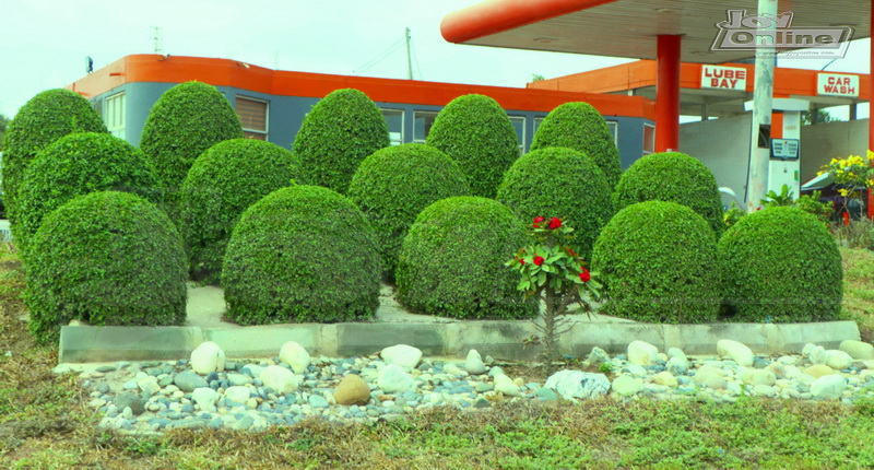 Photos: Green scenery in Accra to mark Green Ghana day