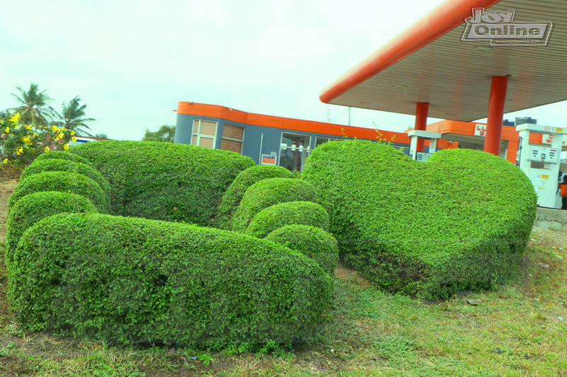 Photos: Green scenery in Accra to mark Green Ghana day