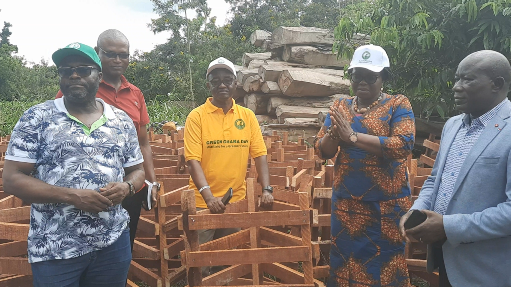 Green Ghana Day: A timber and wood processing company donate seedling guards to support the initiative