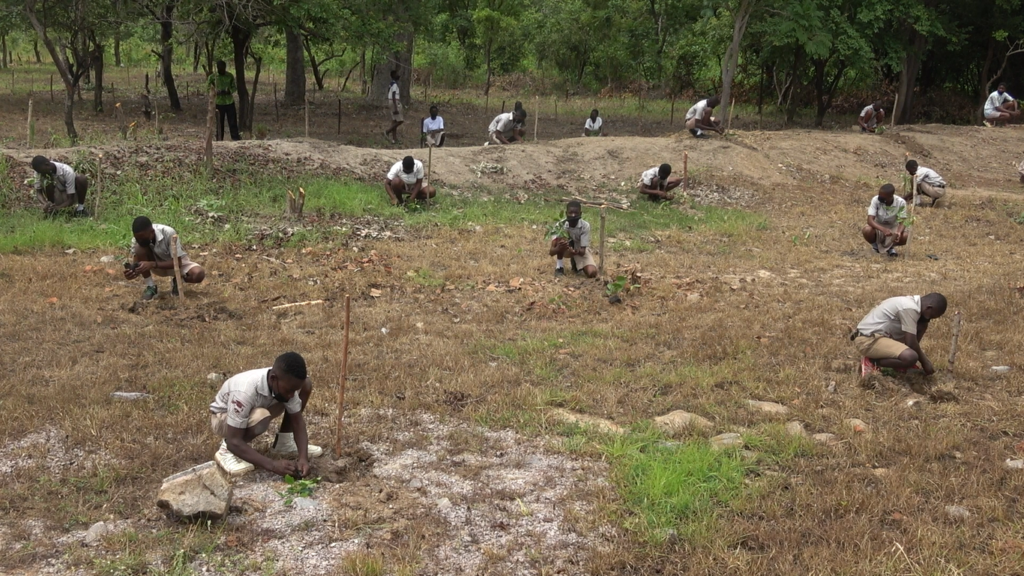 Green Ghana Day: Initiative is in tandem with our Forest Resource Enhancement Program - Bui Power Authority