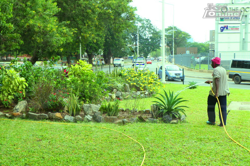Photos: Green scenery in Accra to mark Green Ghana day