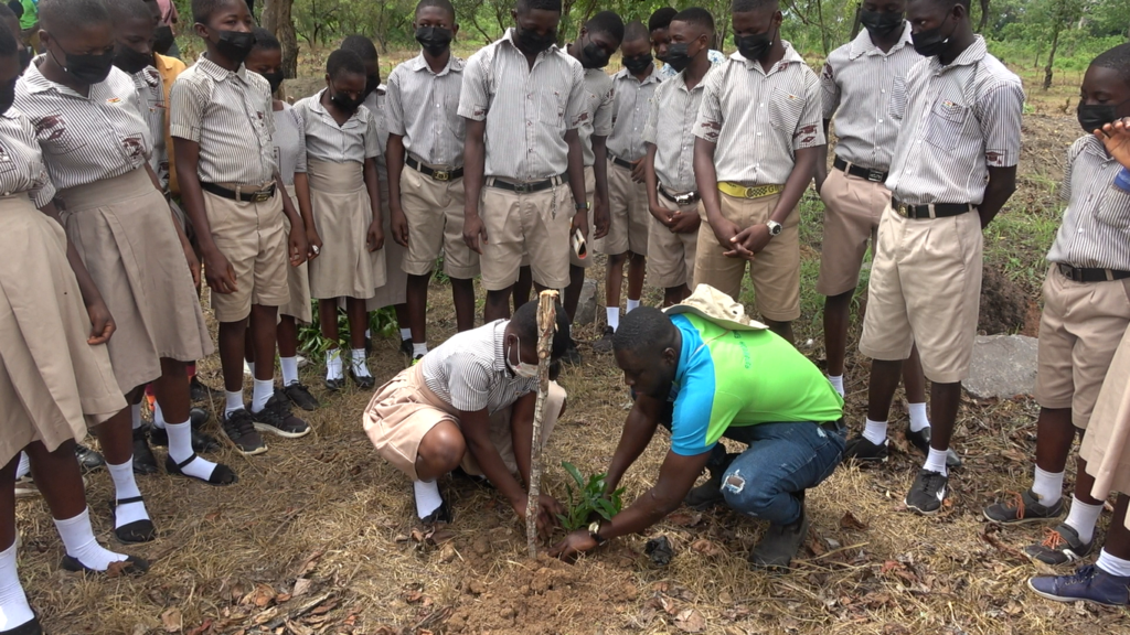 Green Ghana Day: Initiative is in tandem with our Forest Resource Enhancement Program - Bui Power Authority