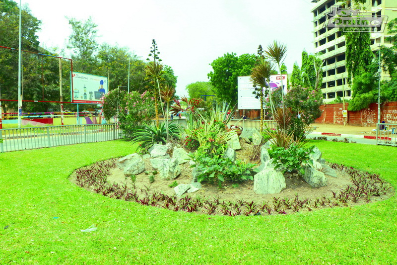 Photos: Green scenery in Accra to mark Green Ghana day