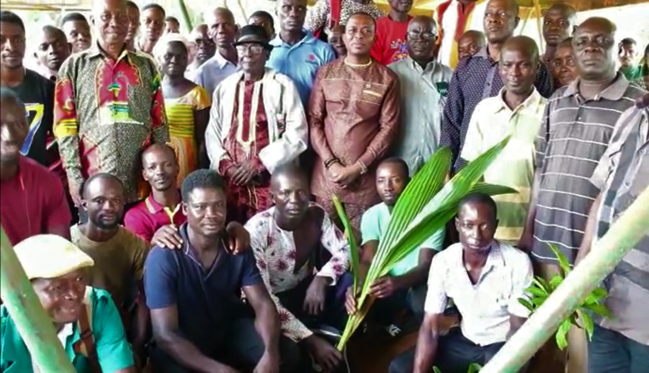Jaman South Assembly presents over 40,000 seedlings to farmers, 500