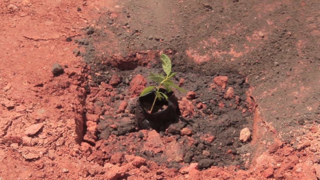 Work progressing steadily on Oti landfill site