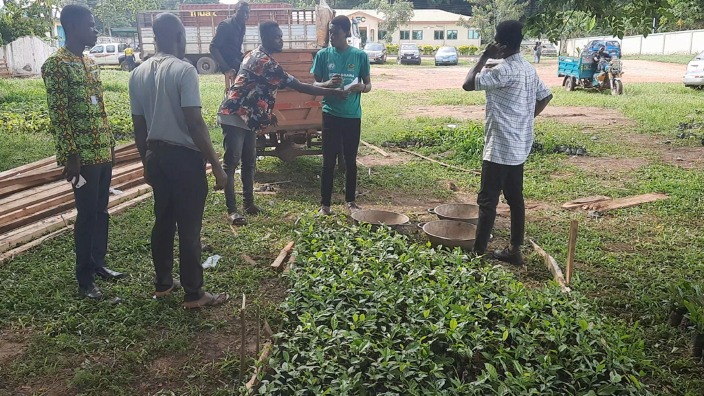 Green Ghana Day: A timber and wood processing company donate seedling guards to support the initiative