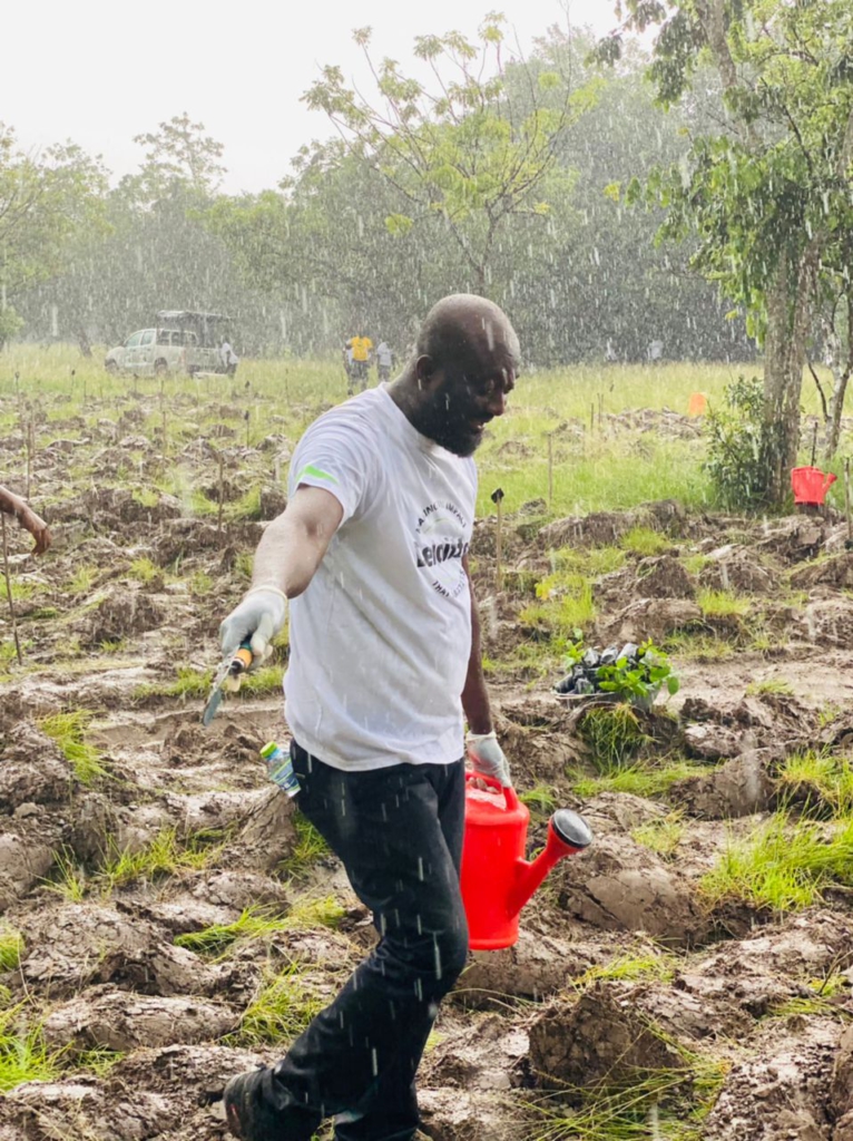 Deloitte Ghana undertakes tree planting exercise at Dodowa