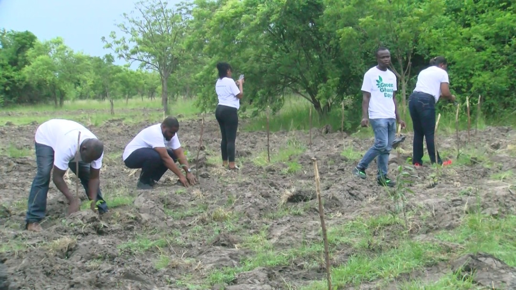 Tsipa Forest Reserve recorded 60% survival from 2021 tree planting exercise – District Manager of Tema Forest Services Division