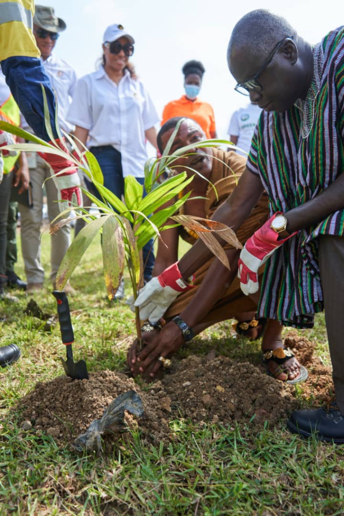 Green Ghana Project: Residents of Ellembelle encouraged to plant trees