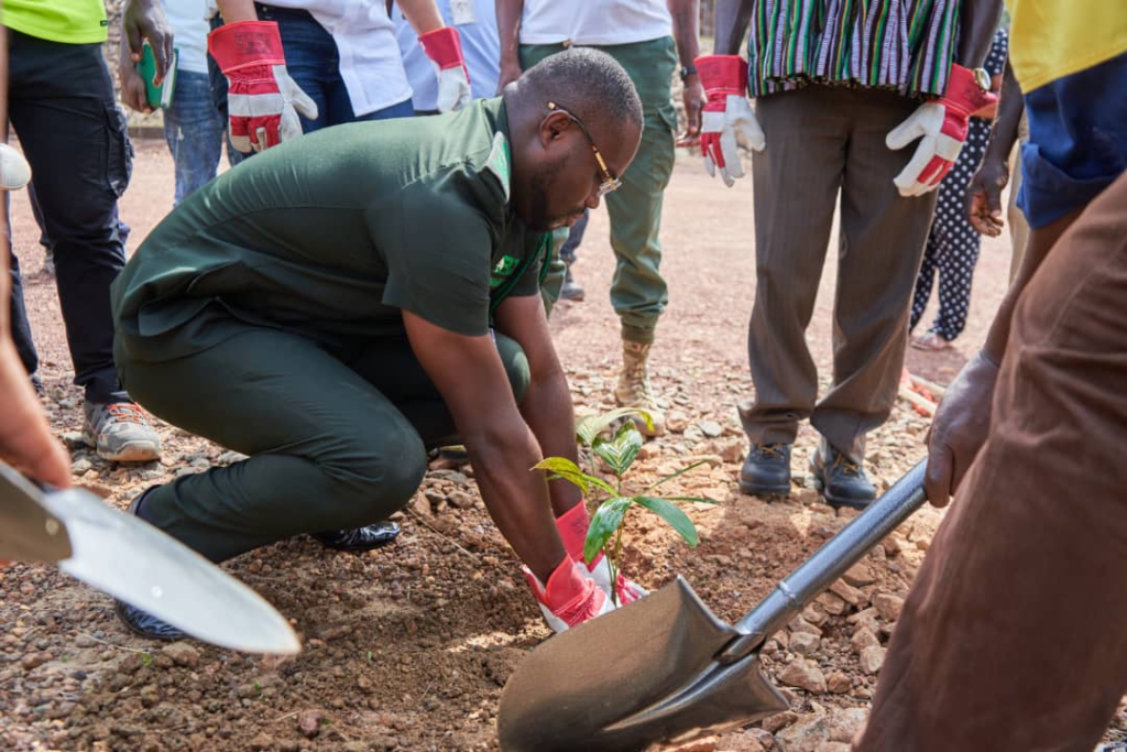 Green Ghana Project: Residents of Ellembelle encouraged to plant trees