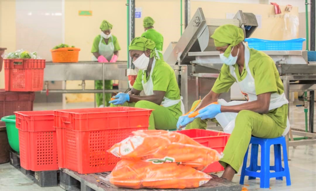 Growing resilient MSMEs in Africa for a sustainable future