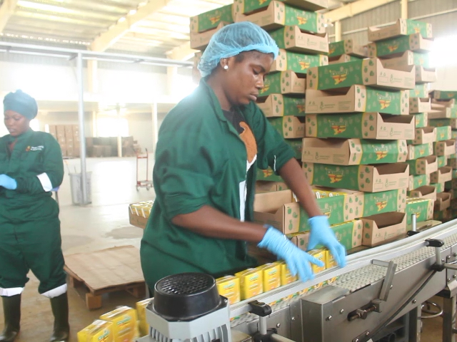 I am impressed with progress of Ekumfi Fruits and Juices Factory - Ekumfi MP