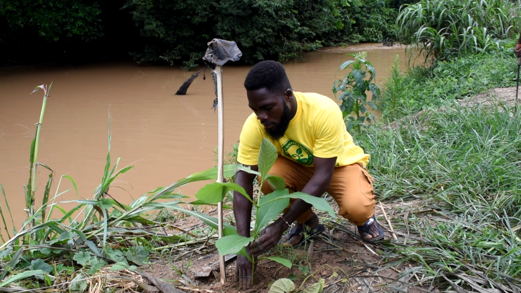 Green Ghana Project: Save Dayi Project to plant 300,000 tree seedlings