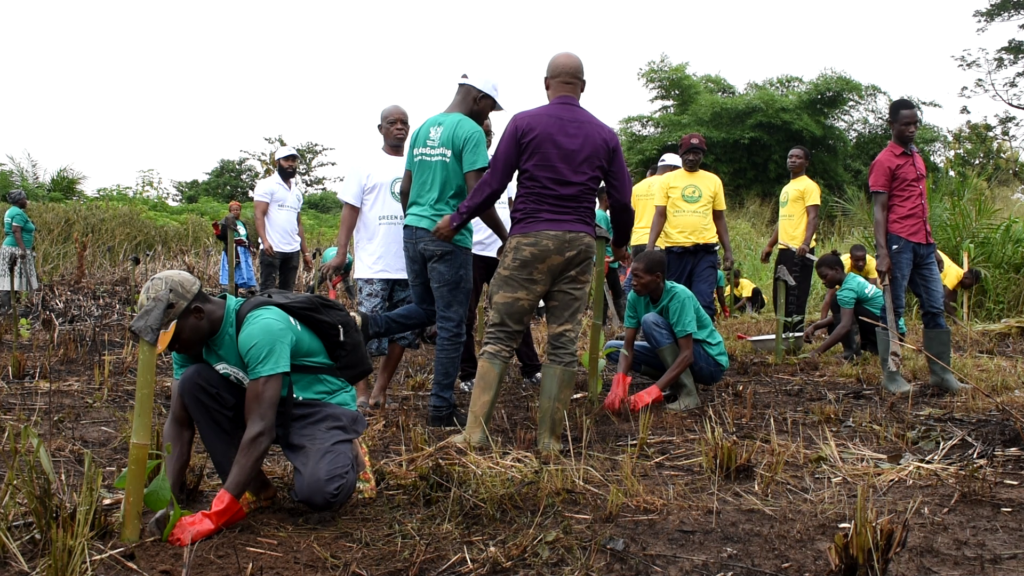 Green Ghana Project: Save Dayi Project to plant 300,000 tree seedlings