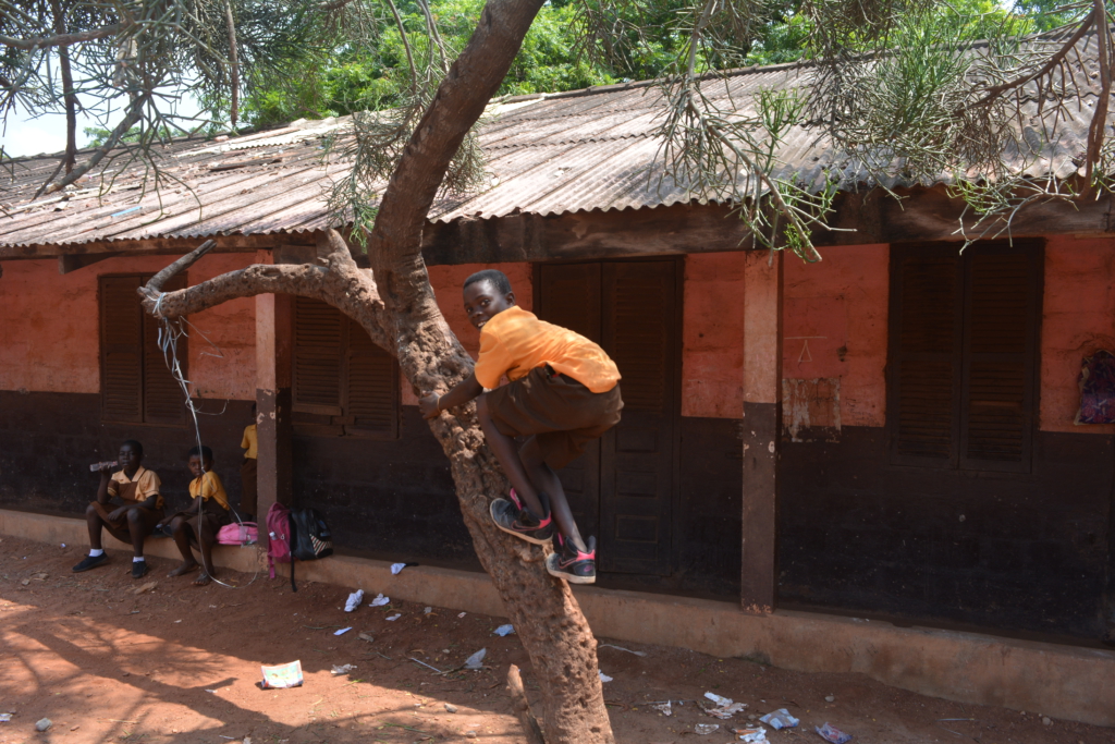 COLA Strike: Pupils climb trees, play games in the absence of teachers