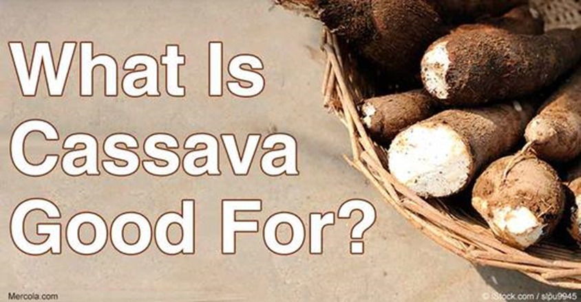 Prof. Raphael Nyarkotey Obu: Cassava fufu boosts immune system, lowers blood pressure