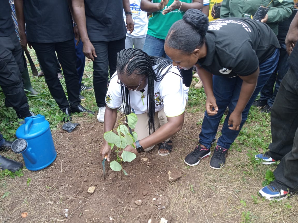 Let's protect and preserve forest reserves for posterity - Prof Rita Akosua Dickson