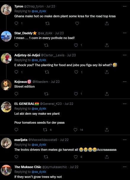 Sprouting maize trail on busy Accra road gets social media talking Sprouting maize trail on busy Accra road gets social media talking