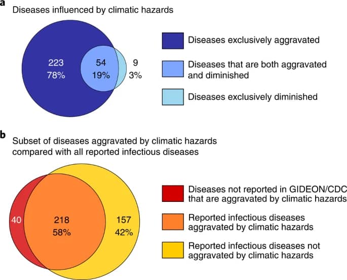 Climate change worsens 58% of human diseases - Research Climate change worsens 58% of human diseases - Research