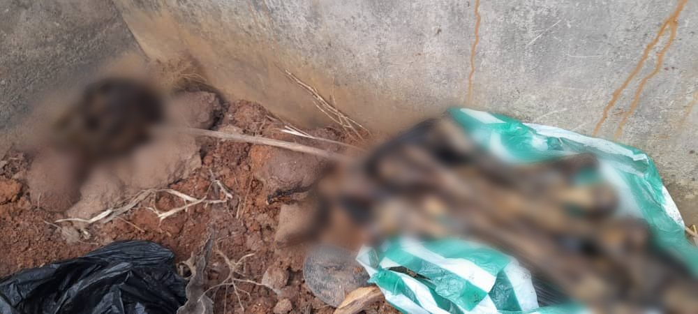 Self-styled pastor arrested with human skeletons in his possession at Wenchi