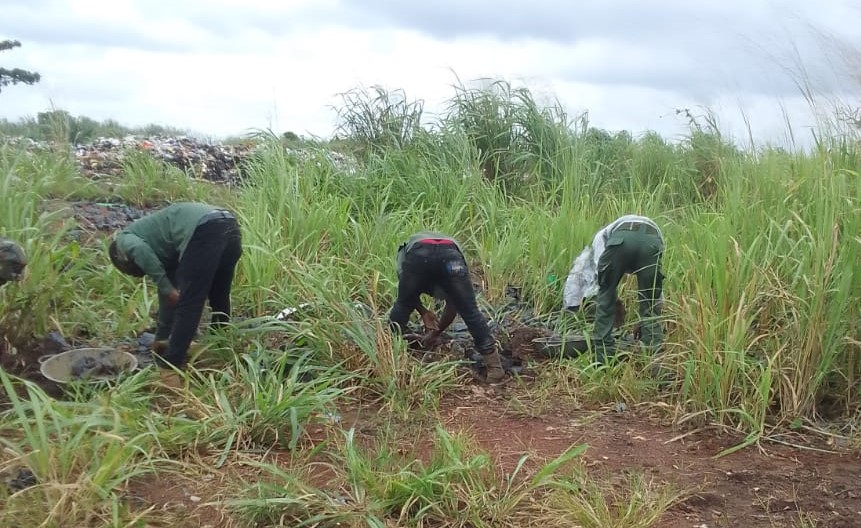 Police at Asante Mampong investigate dumping of 8,000 tree seedlings Mampong seedlings www.myjoyonline.com