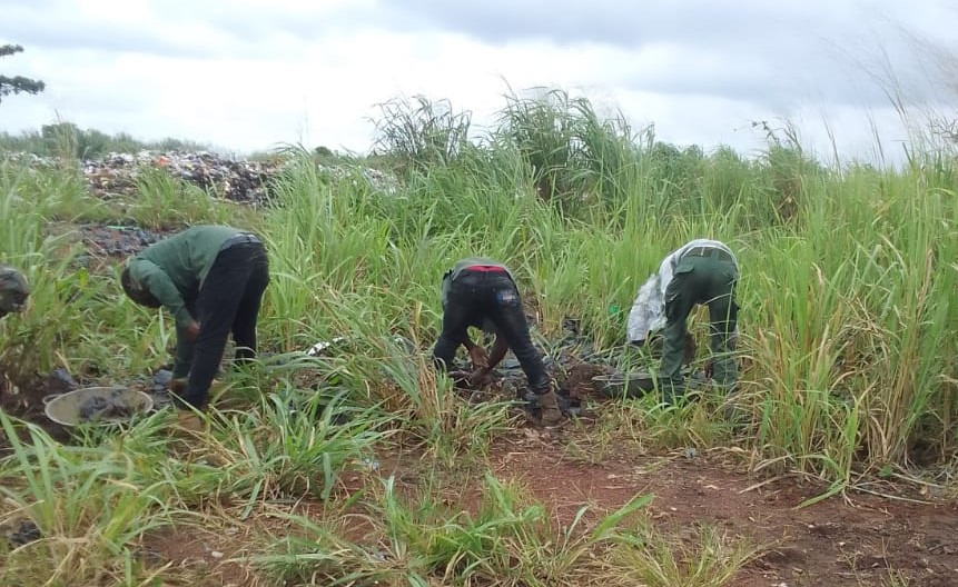 Mampong seedlings www.myjoyonline.com