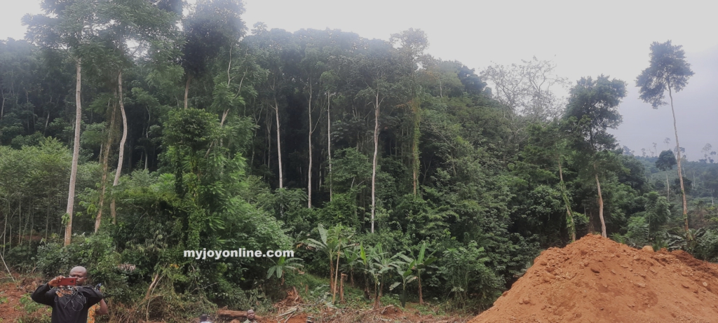 Forest galamsey www.myjoyonline.com