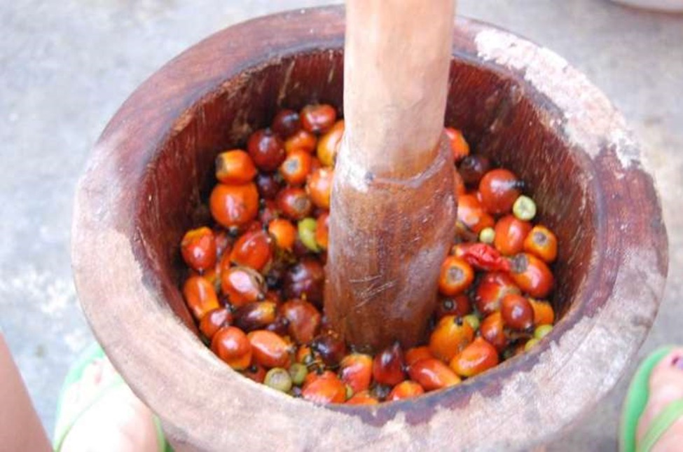 Prof. Raphael Nyarkotey Obu: Red palm oil lowers cholesterol, slows heart diseases