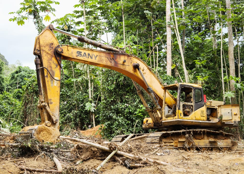 3 Chinese, 3 Ghanaians arrested for mining in Tano-Nimiri Forest Reserve -  MyJoyOnline.com