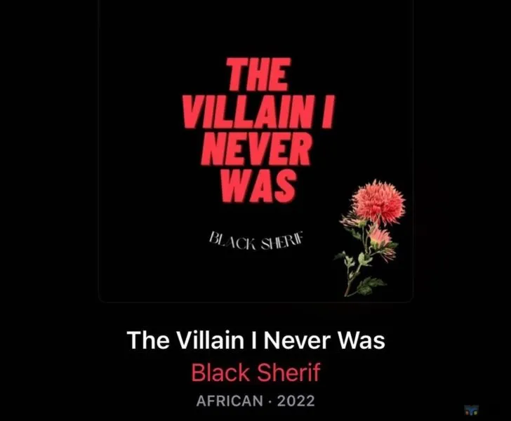 Black Sherif releases date of his debut album titled ‘The Villain I Never Was’